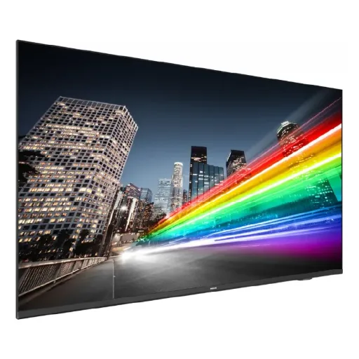 Écran professionnel Philips 75" – 75BFL2214